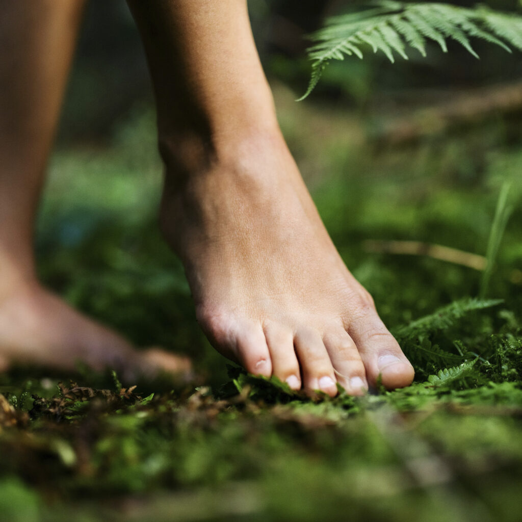 Wir in der Wahrhaftigkeit unseres Seins