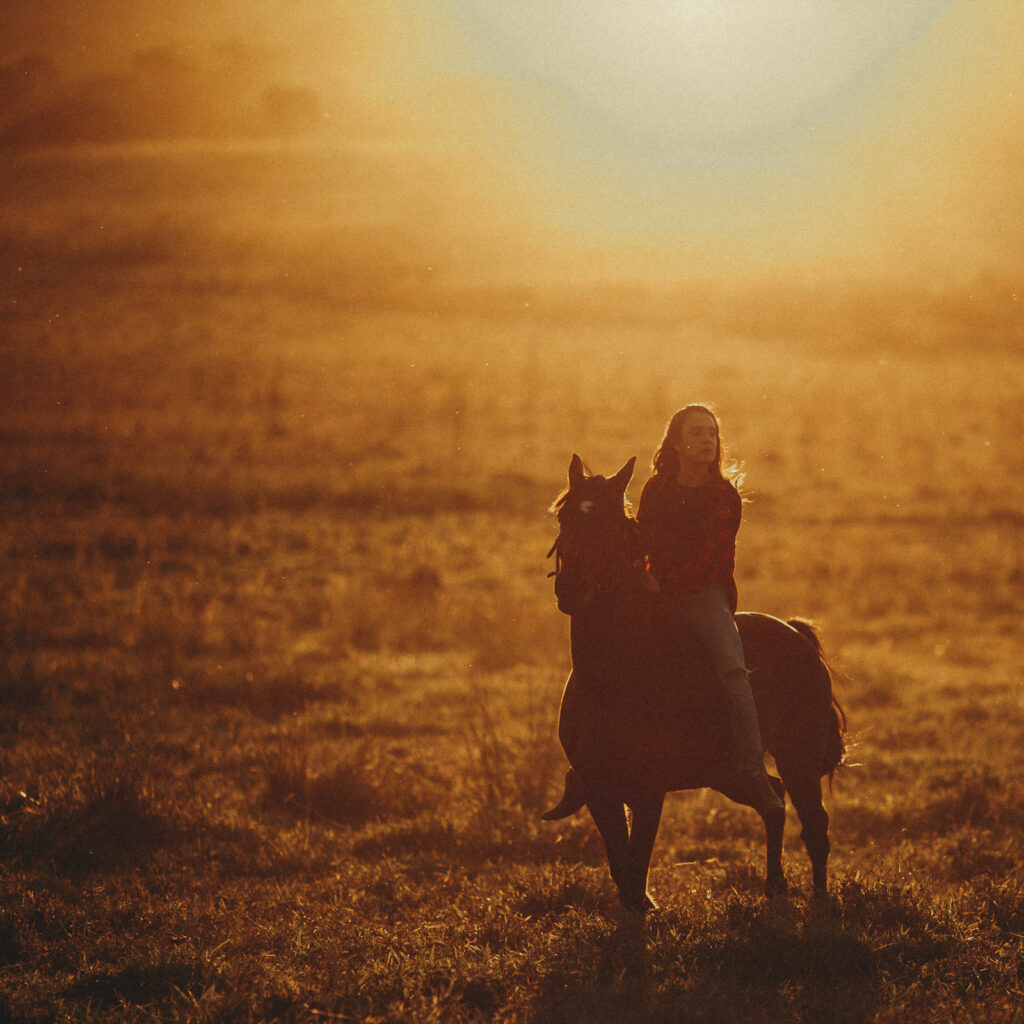 Das Jahr des Feuerpferdes