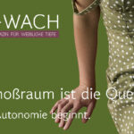 Frau im grünen Kleid, Fokus auf dem Schoßraum, mit dem Schriftzug „Dein Schoßraum ist die Quelle – Wo Deine Autonomie beginnt“, Magazin WEIB+WACH