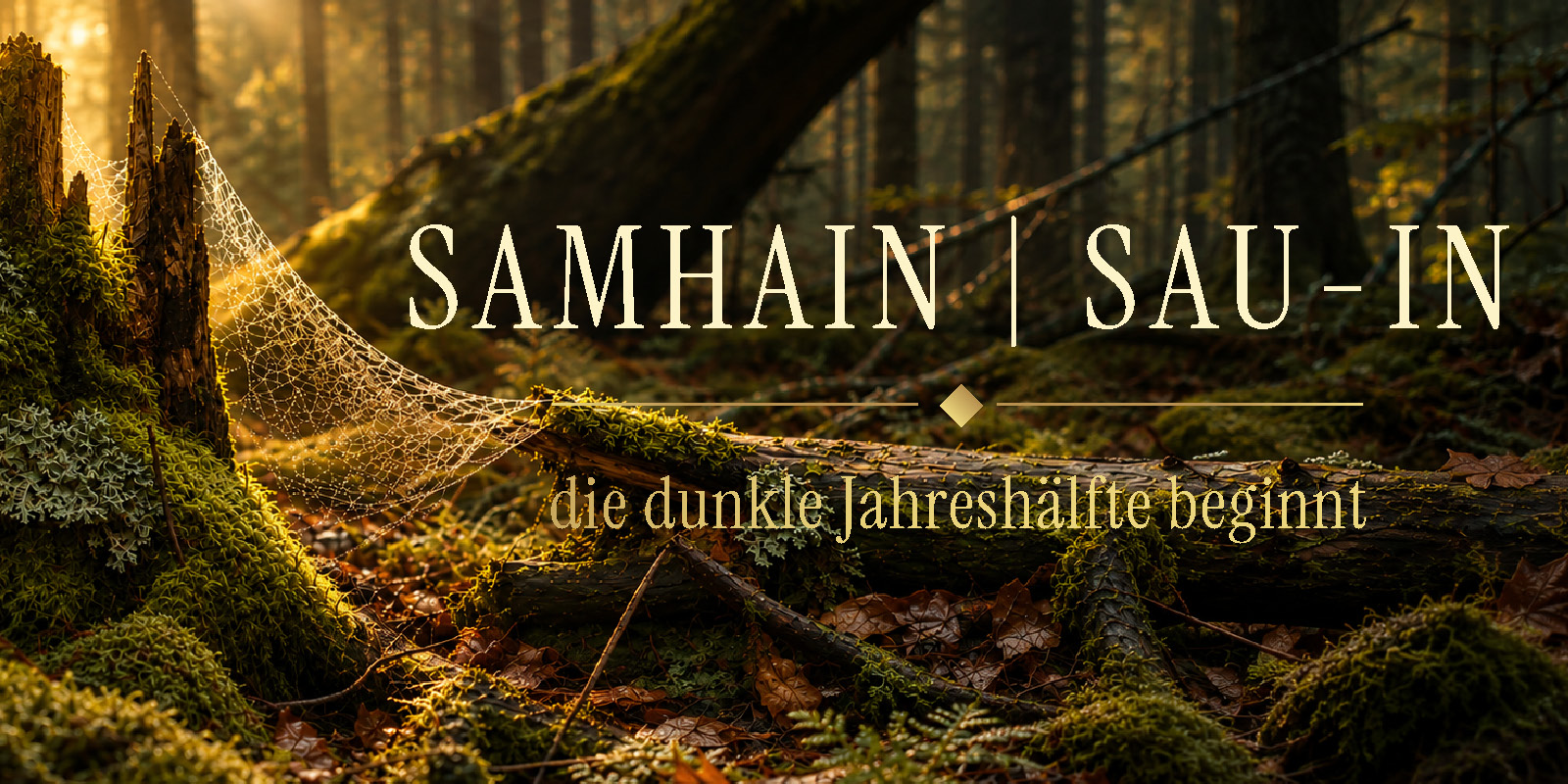 Goldenes Herbstlicht fällt durch einen moosbewachsenen Wald. Schriftzug: „Samhain | Sau-In – die dunkle Jahreshälfte beginnt“.