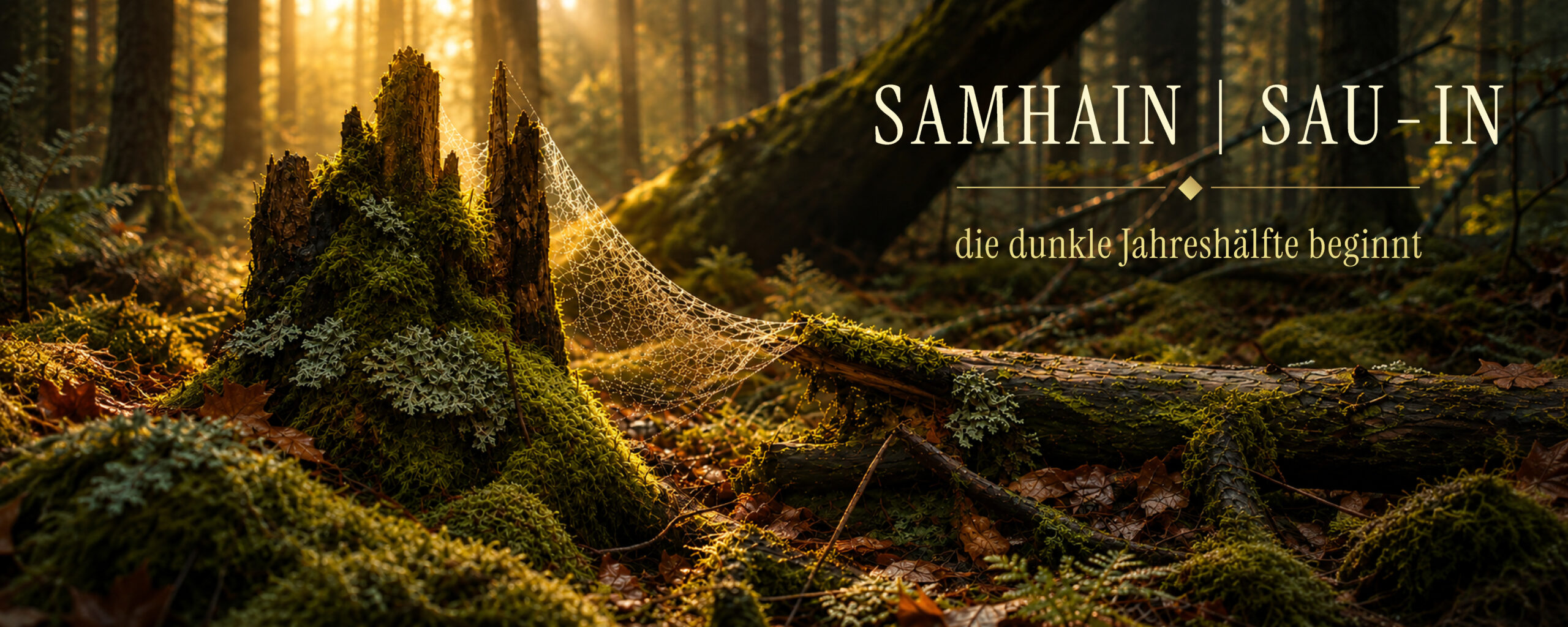 Goldenes Herbstlicht fällt durch einen moosbewachsenen Wald mit alten Baumstümpfen. Schriftzug: „Samhain | Sau-In – die dunkle Jahreshälfte beginnt“.